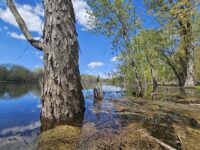 River report: April showers bring May floodplain paddling