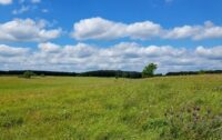 Artists asked to apply for new state park residencies 20160717_142449