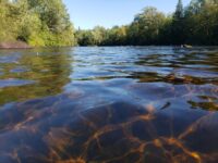 Water walkers plan ceremony along entire St. Croix River