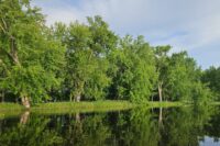 Reciprocity and the river