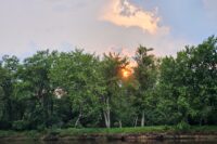 The sweetness of summer on the St. Croix