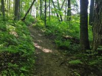 Local trail group to host two fall hikes
