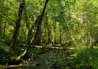 Minnesota lottery funds support St. Croix stewardship and science