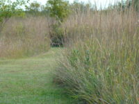 Afton State Park phenology, October 18 to 24