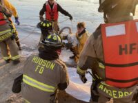 Hudson swan rescue could portend bird flu 473030696_575766125240288_5143074067008297195_n