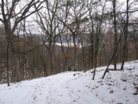 Afton State Park phenology, January 3 to 16, 2025