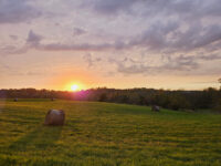 Online workshops offered to help protect local control of industrial agriculture in Wisconsin