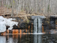 Earth Day events will celebrate, educate, and advocate
