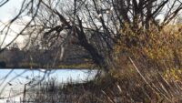 Pine County conservation agency helps keep Snake River clean by improving forest health