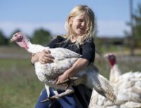 Apple River Farm Tour features local food and family fun