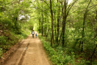 Afton State Park Phenology June 6 to June 12