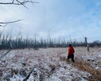 Upper St. Croix wildlife area doubled in size