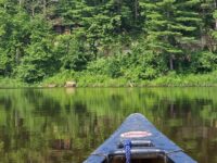 Pine Needles residency: Write here, write now