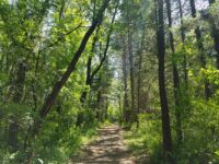 Afton State Park phenology, July 18th to 24th