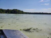 Local livestock produce as much manure as 3 million more people in St. Croix River watershed