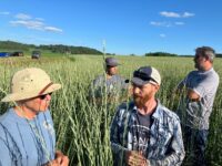Lessons learned from a Kernza field day