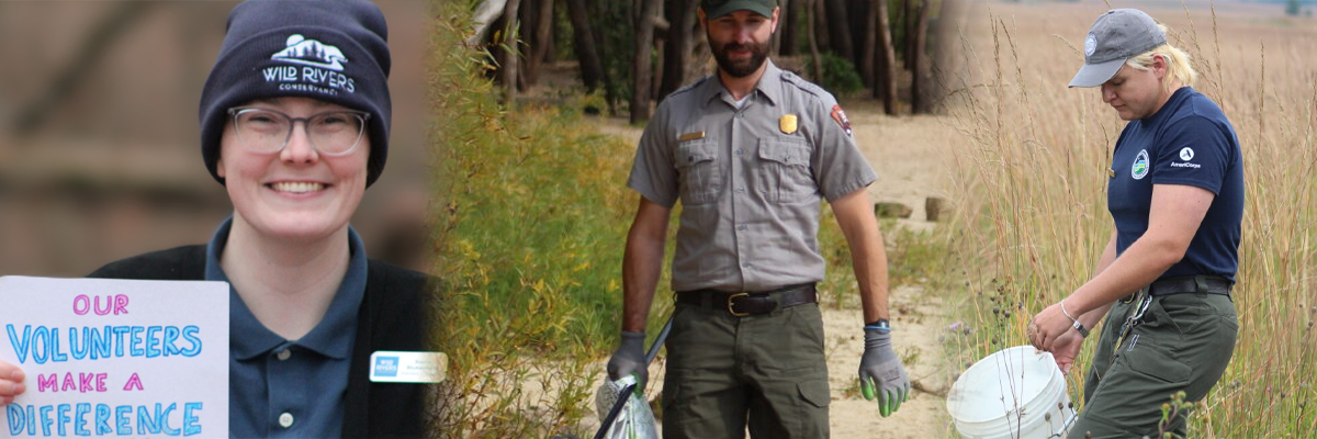 The Volunteer Lead Team
