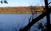 Afton State Park phenology, September 26 to October 2