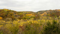 Afton State Park phenology, October 24 to November 6