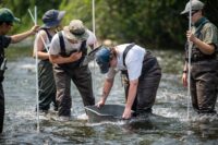 Student project informs River Falls dam removal project