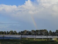 One farmer set off a solar energy boom in rural Minnesota; 10 years later, here’s how it worked out 20250822_190647