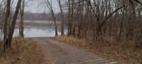 Emerald ash borer infestation reaches upper river