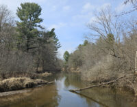 St. Croix Seasons: Early Spring