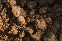 Why too much phosphorus in America’s farmland is polluting the country’s water USDA Photo by Lance Cheung.