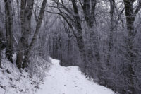 Afton State Park phenology, January 16 to 29