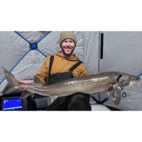 Video: Ice fishing for sturgeon, 2026 edition
