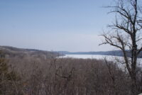 Afton State Park phenology, February 27 to March 5