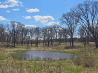 Nature photographers invited to enter contest at St. Croix waterfowl preserves