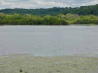 Temporary dam drawdown threatens to flush significant sediment into St. Croix River