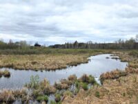 Proposed nickel mine near St. Croix tributaries now open for public input