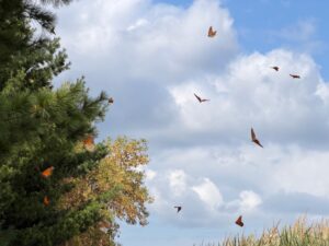 St. Croix Valley Foundation awards record $442,200 in environmental grants