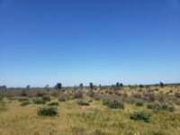 Dedication planned for historical marker at Namekagon Barrens Wildlife Area