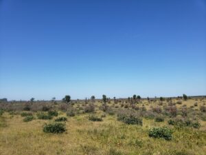 Dedication planned for historical marker at Namekagon Barrens Wildlife Area